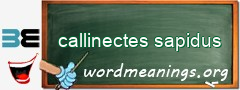 WordMeaning blackboard for callinectes sapidus